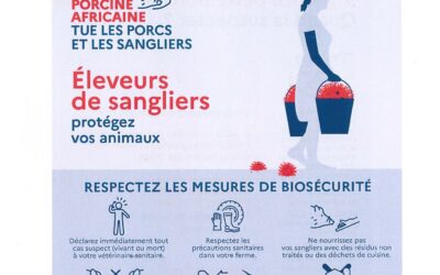 PESTE PORCINE AFRICAINE (PPA)
