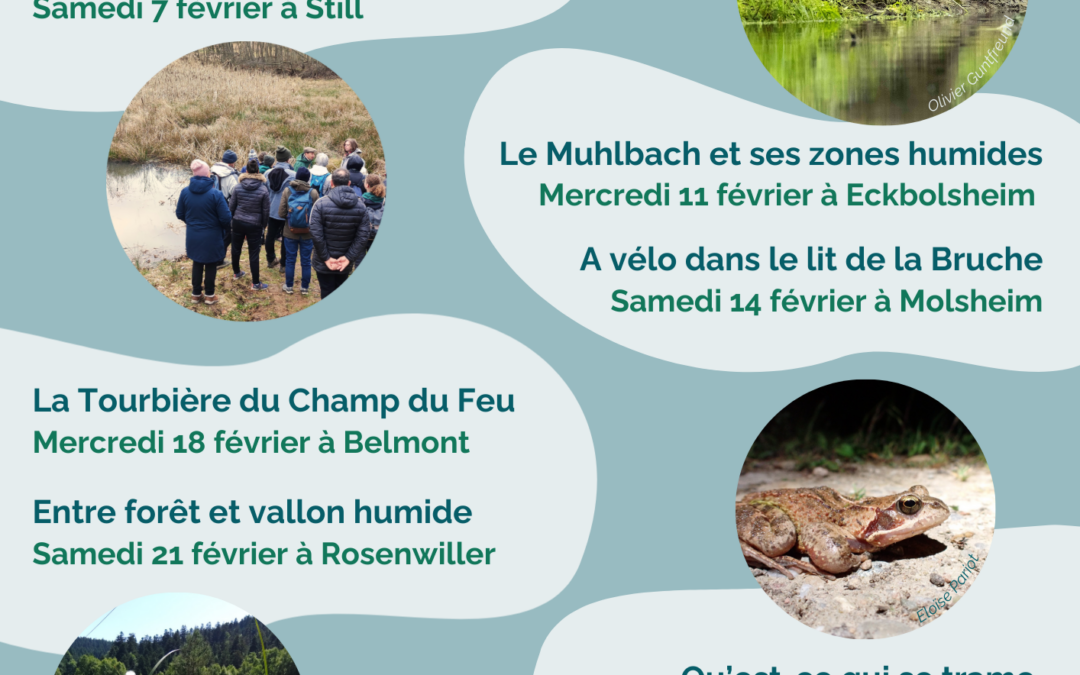 ZONES HUMIDES – SORTIES DÉCOUVERTES