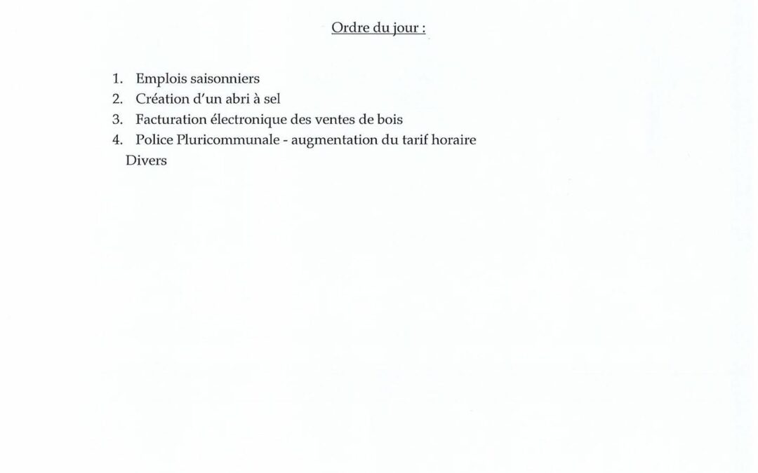 CONSEIL MUNICIPAL – SÉANCE EXTRAORDINAIRE
