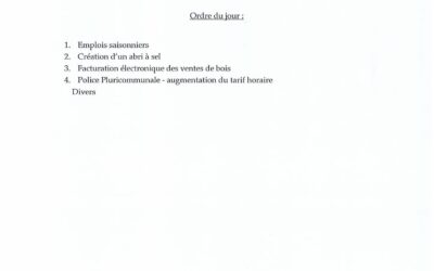 CONSEIL MUNICIPAL – SÉANCE EXTRAORDINAIRE