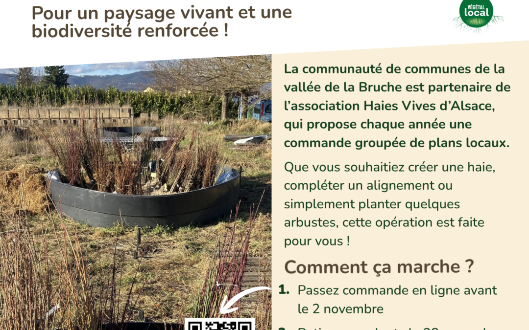 COMMANDE GROUPÉE DE PLANTS LOCAUX