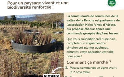 COMMANDE GROUPÉE DE PLANTS LOCAUX