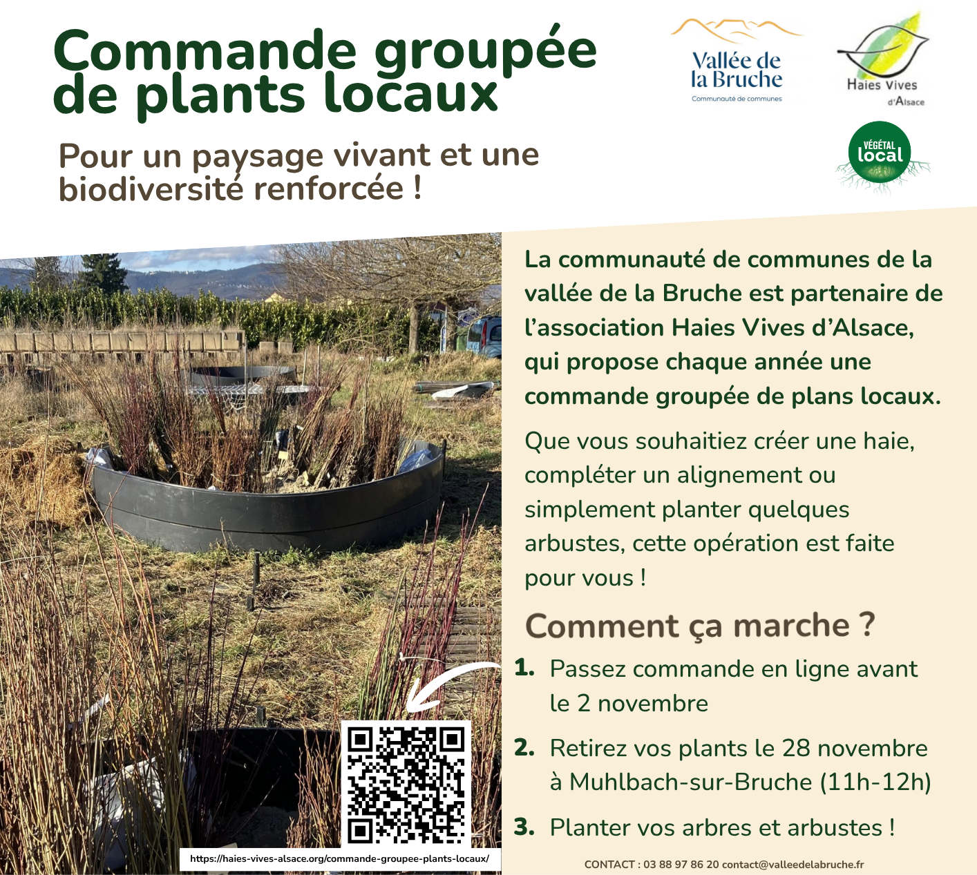 Commande groupée plant HVA (002)
